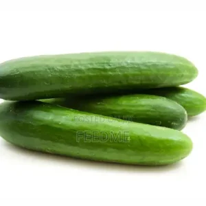 Fresh Cucumber