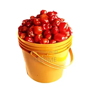 Habanero Pepper