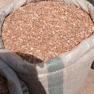 Brown Beans
